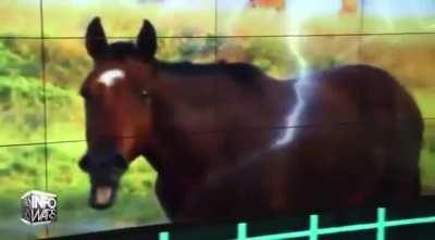 COVIDians stay winning! The anti Faucci has fallen!