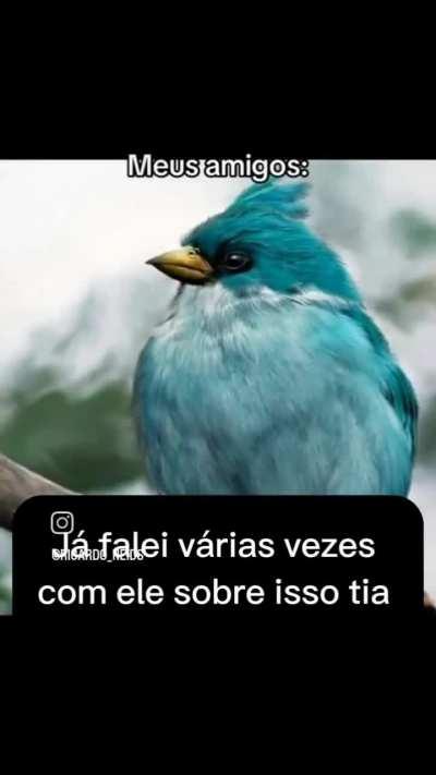 E tá errado?