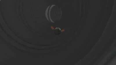 The complete Doors Saga