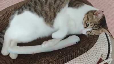 Not so stoked on yolk