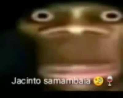 jacinto smamamamnaia