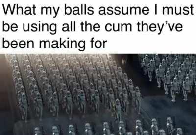 Magnificent, aren’t they?