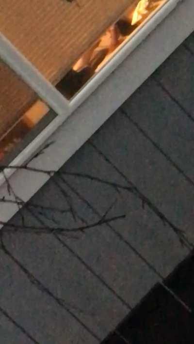 When I had the courage to record my neighbor that used to jack off for me in his window