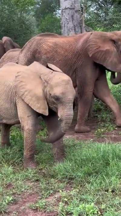 I know this isn't a guy, but it's just so relatable