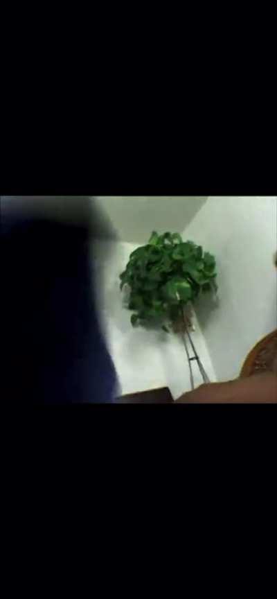 Jade jaguar lil ass was getting that 🍆