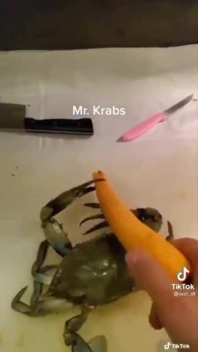 NOOOOOOO MR KRABS