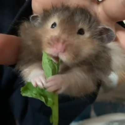 Sleeve snack! Look at his little haaaaanddssss