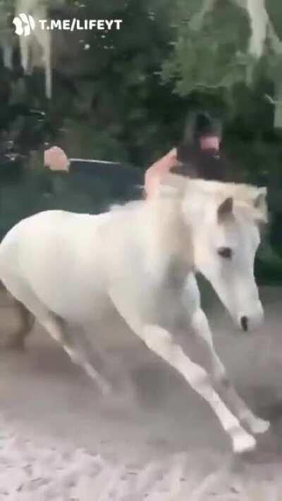 Слезай, время кушац!