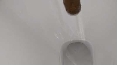 Pooping today at home 