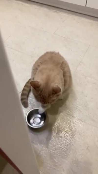 退役晶哥过年时在赵家人门口讨饭