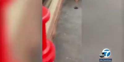 LA Sherrifs Department Beat Down