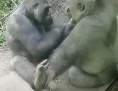 Жмякать титьки - это у нас в подсознательном