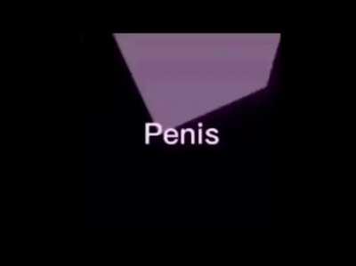 Penis
