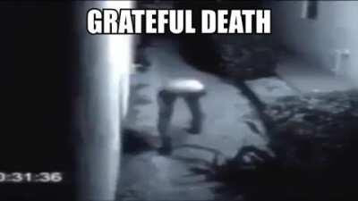 Holy shit! He's real.