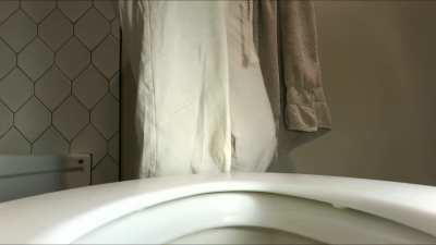 Anyone else have to sneak a camera into the bathroom when guests are over? Oh just me... okay [f]