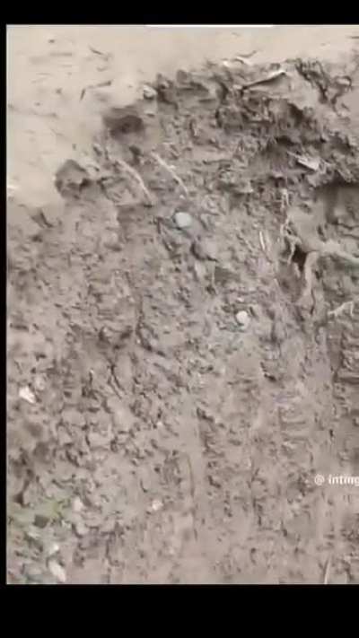 Ngayon alam kona kung bakit ang tagal matapos ng septic tank ko, may gumagawa pala ng pangarap.