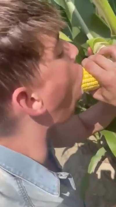 Gay🌽irl