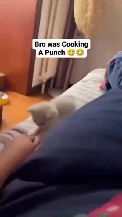 Bro started watching one punch man