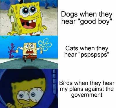 i wanted them to listen