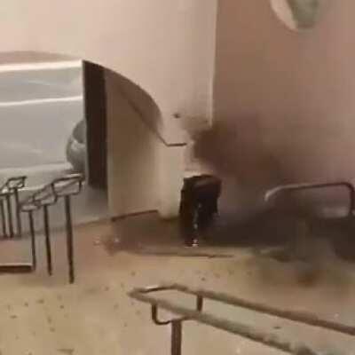 Don't mess with Granny