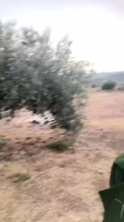 Erwin tries his hand at TikTok trends