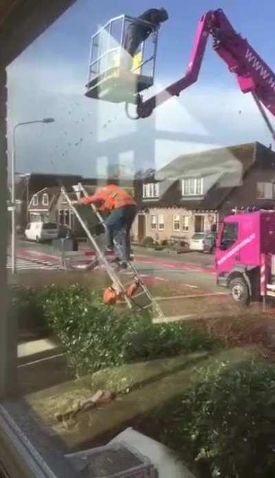 Using a ladder to get down is best