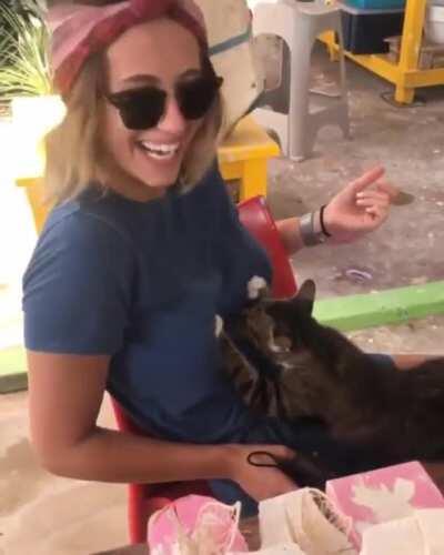 Konosuba live action leaked footage