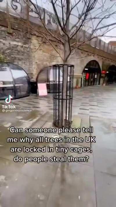 Oh, so that's why...