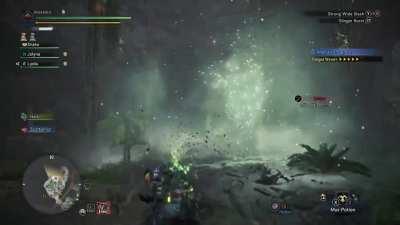 When you mount a chameleos