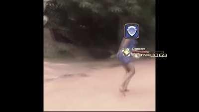 DF PLD caught in the act (credit to u/anaesthaesia)