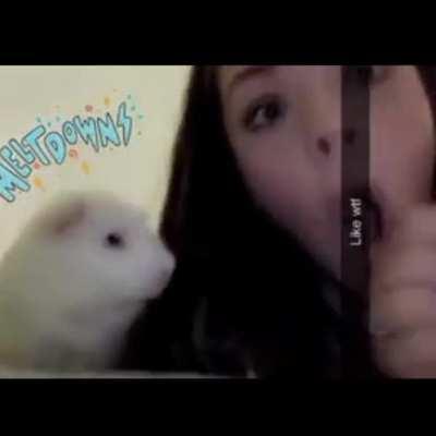 WCGW getting ur hair close Ratatouille