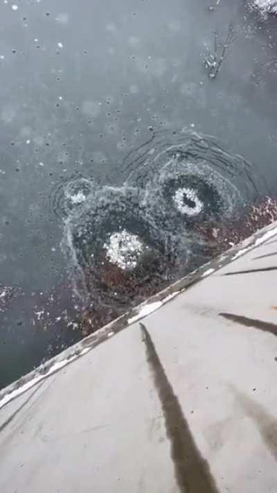 Pushing a gigantic snowball over the side of a bridge