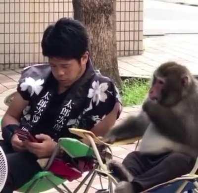 MUCALOL e Ayellol tramando um plano ela pegar o Keio talarico 🤡