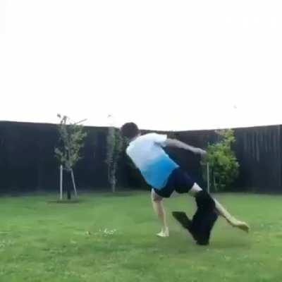 Cats are hard to impress