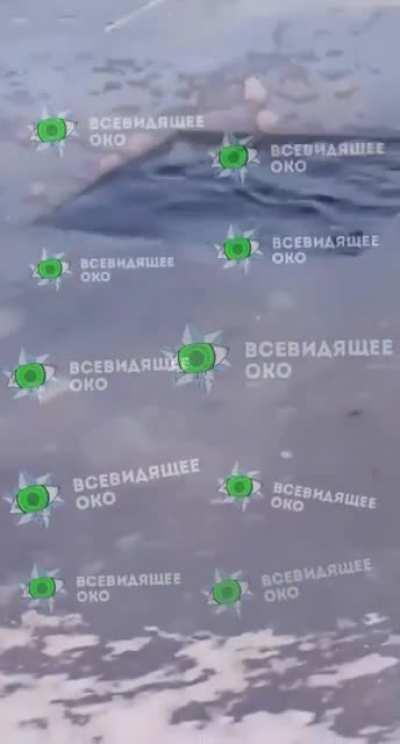 Guy dives and never comes back. His wife is filming.