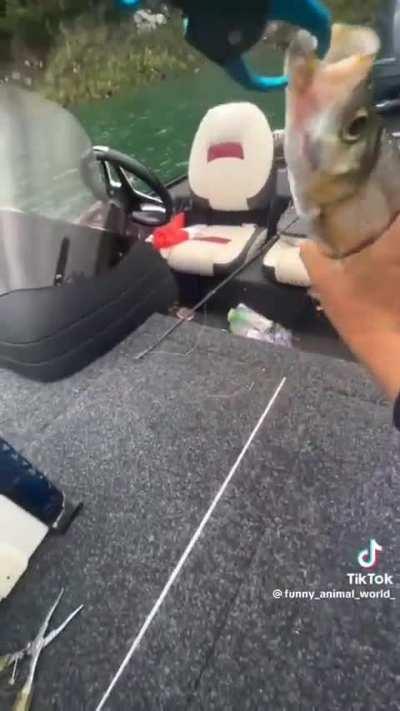 That has to be illegal 