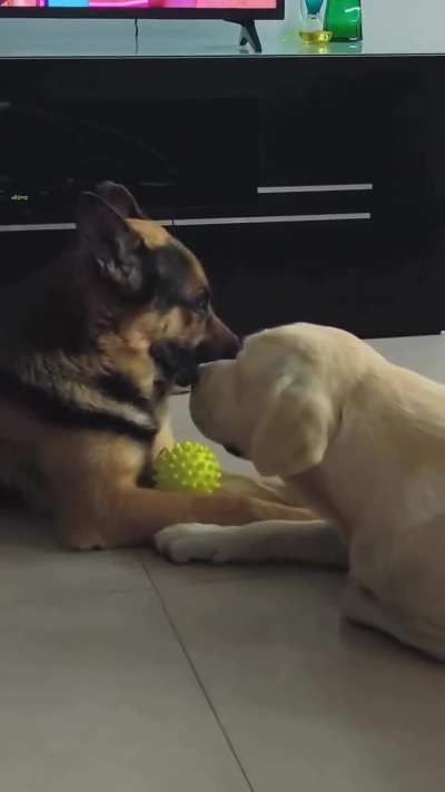 Mission Impossible.1😅🤗