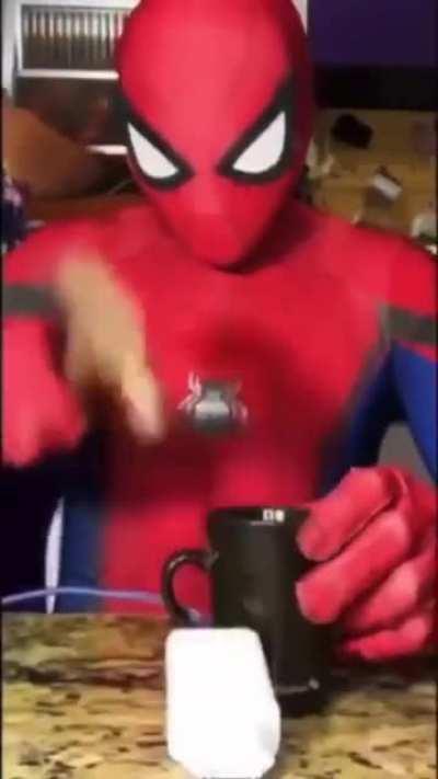 hogrida - Video #6749