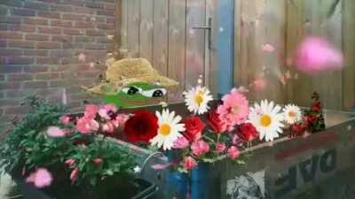 Apu in his garden