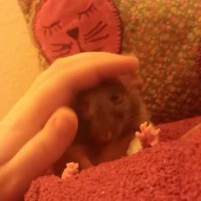 Thinking of my late love, Dorothy, today ❤️