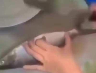 Dude, are you serious?