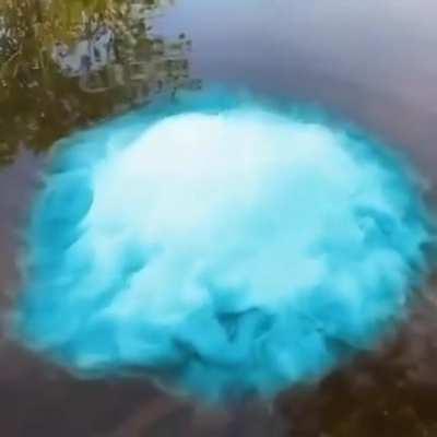 turning bubble into a z-move be like: