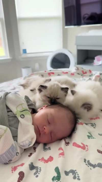 Baby snuggle session 🥰