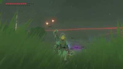 Guys I killed a keese wave