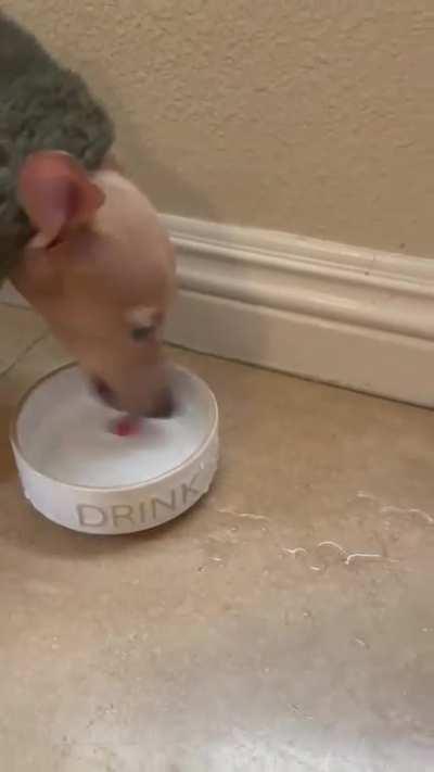 Very interesting way to drink