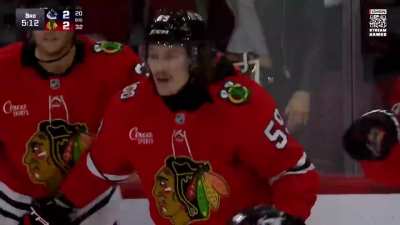 Tyler Bertuzzi's disallowed goal that would have won it for the Hawks