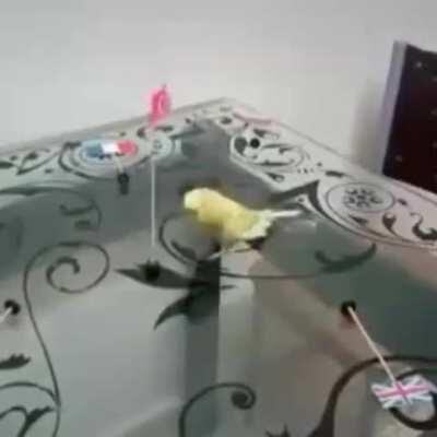 So which of you done this roachery?