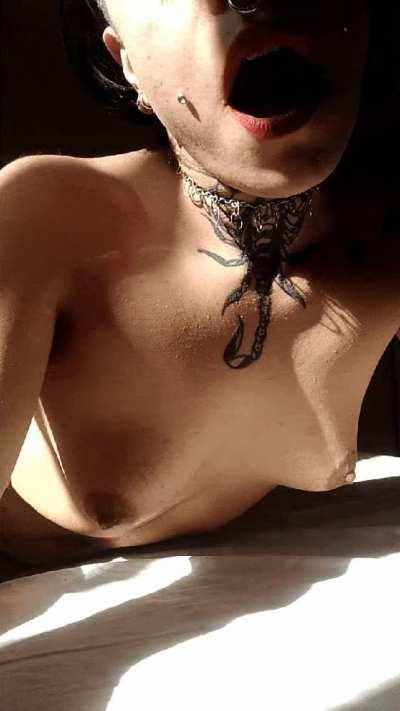 AVAILABLE for [SEXT] sessions 🔥 Bratty baby ready to please you 🔥 Doing [sub][gfe] [rate] [pic] [vid] [fet] Read comms!