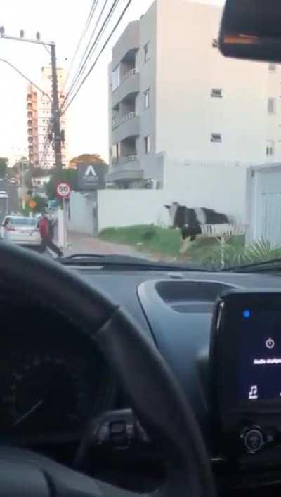 THERE IS NO FOUL. ALL BALL.