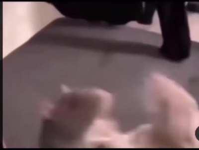 Twitch vs twitch bot lane 😡🤬